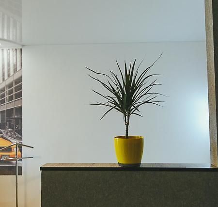 Vip Apartmen Lägenhet Sumy Exteriör bild